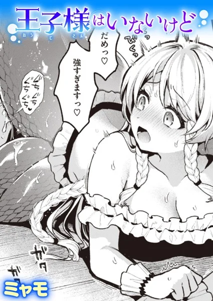 王子様はいないけど