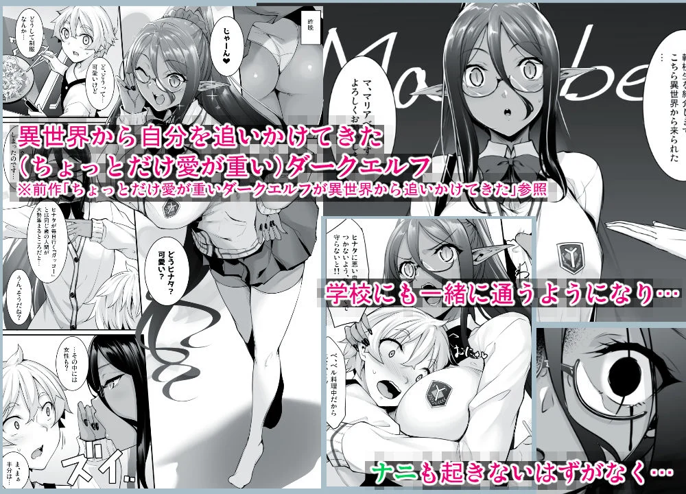 ちょっとだけ愛が重いダークエルフが異世界から追いかけてきた2 画像1