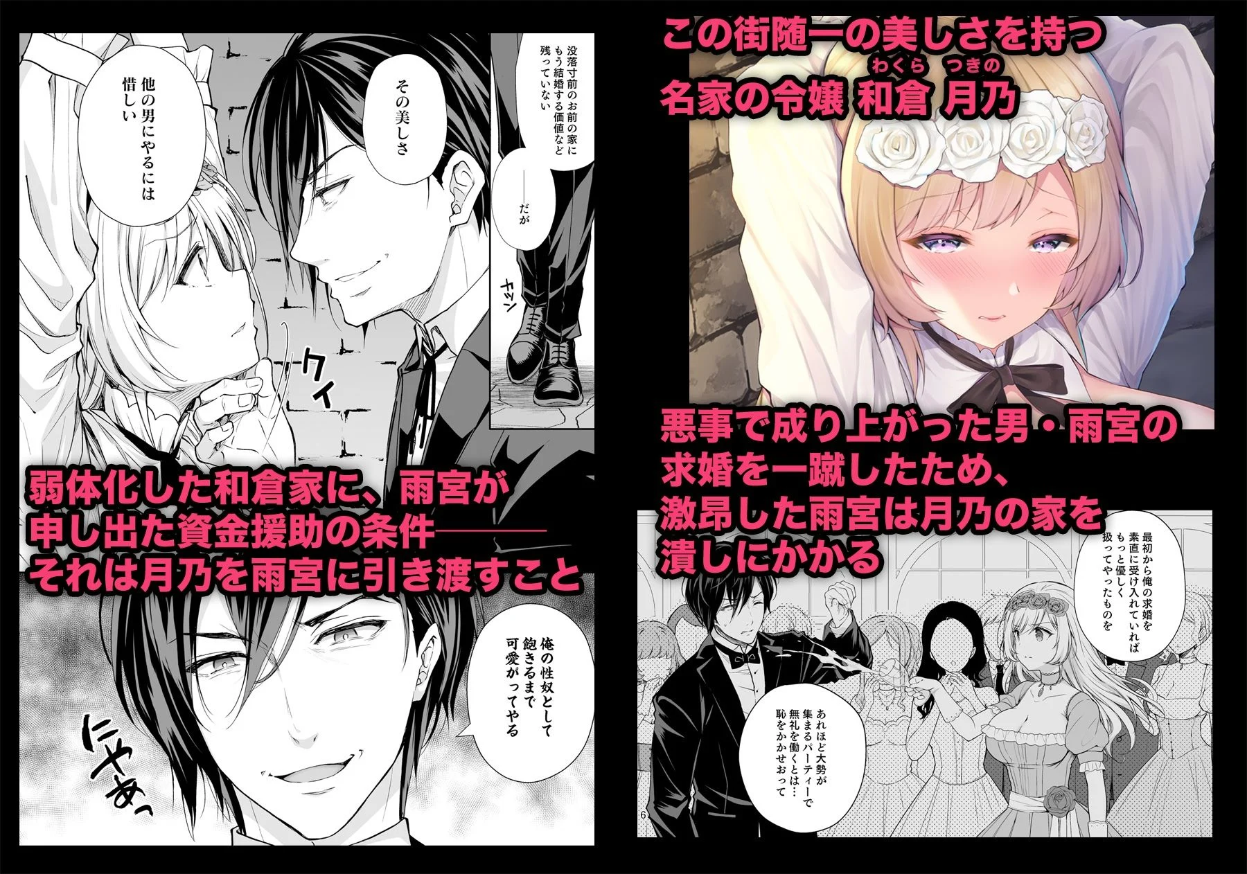 隷嬢の小夜曲 第一楽章 画像1