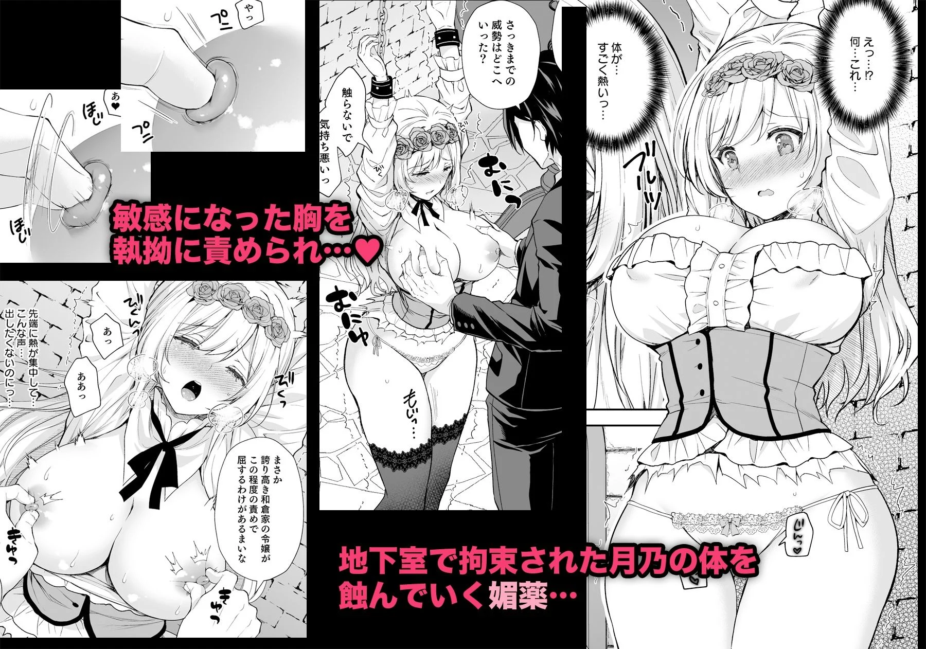 隷嬢の小夜曲 第一楽章 画像2