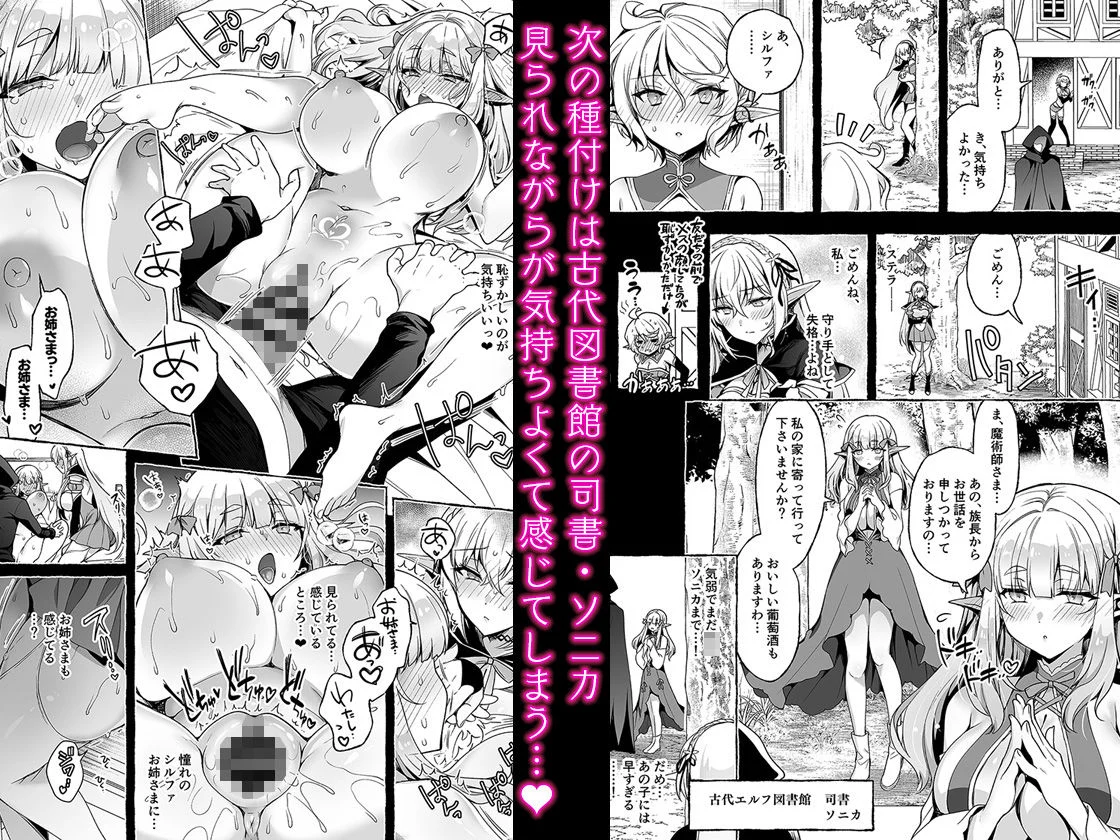 淫紋魔術師のエルフハーレム 画像3